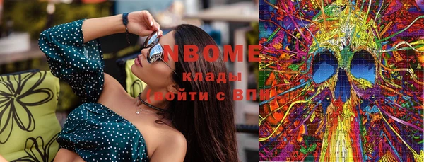 мдпв Новозыбков