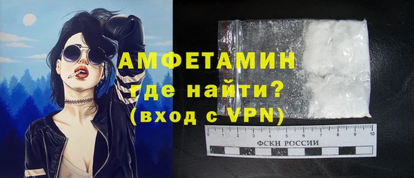 мдпв Новозыбков